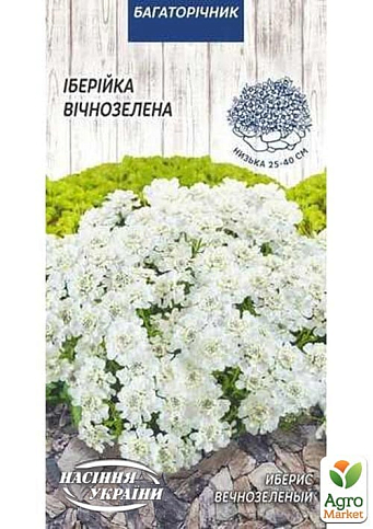 Иберис вечнозеленый ТМ "Семена Украины" 0.1г