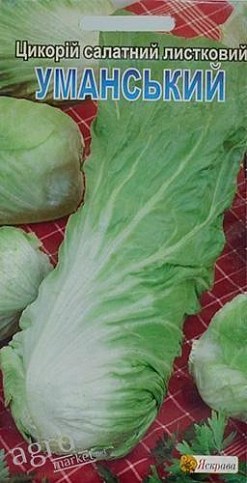 Цикорій салатний листової "Уманський" ТМ "Яскрава" 1г
