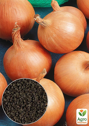 На развес Лук "Галант" ТМ "Весна" цена за 5г