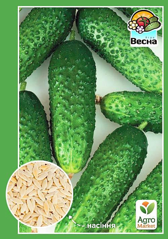 Огурец "Гейм" ТМ "Весна" 0.5г