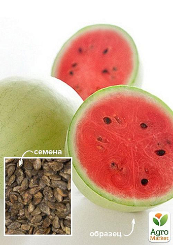 На развес Арбуз "Рафинад" ТМ "Весна" цена за 6г