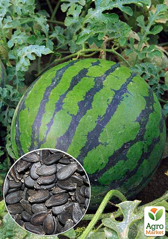 На развес Арбуз "Алая улыбка" ТМ "Весна" цена за 6г