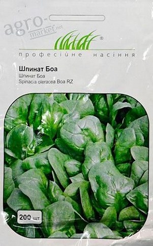 Шпинат "Боа" ТМ "Hem Zaden" 200шт