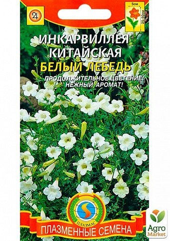 Інкарвіллея китайська "Білий лебідь" ТМ "Плазмові насіння" 0,1г