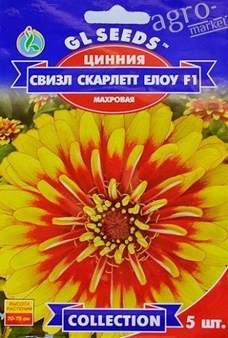 Цинія "свізл Скарлет елоу F1" ТМ "GL SEEDS" 5шт