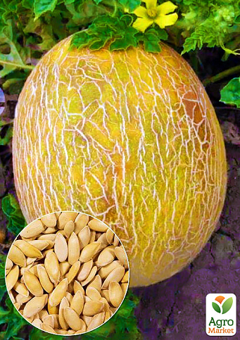 На вагу Диня "Престиж" ТМ "Весна" ціна за 6г