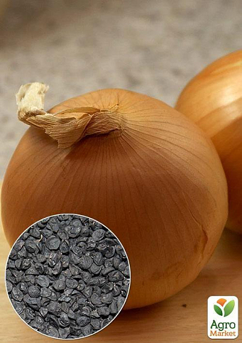 На развес Лук "Стригуновский" ТМ "Весна" цена за 5г