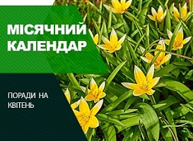 Місячний календар на квітень 2021 року - корисні статті про садівництво від Agro-Market