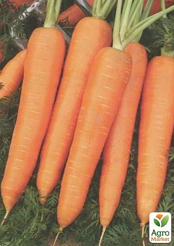 Морква "Курода" ТМ "Lark Seeds" 500г
