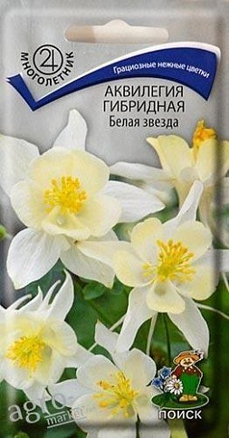 Аквилегия "Белая звезда" ТМ "Поиск" 0.05г
