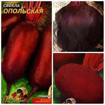 Комплект семян свеклы "Бордовый сахар" 5уп