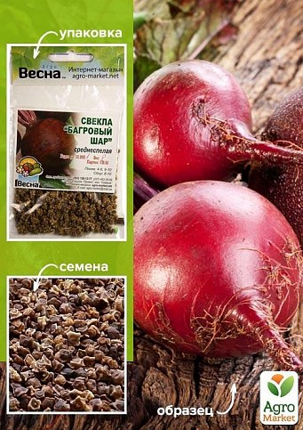 Буряк "Багряна куля" (Зипер) ТМ "Весна" 6г