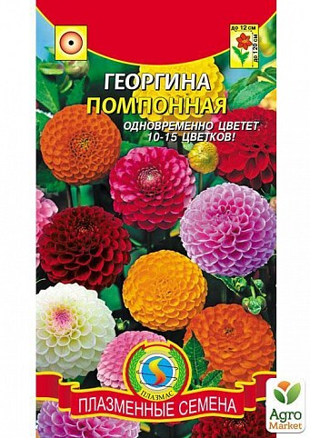 Жоржина помпонами (махрова суміш) ТМ "Плазмові насіння" 12шт