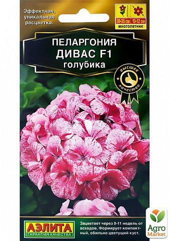 Пеларгония "Дивас F1 голубика" ТМ "АЭЛИТА" 3шт