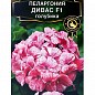 Пеларгонія "Дівас F1 лохина" ТМ "АЕЛІТА" 3шт