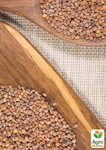 На вагу Редис "Кармен" ТМ "Весна" ціна за 10г - фото 3