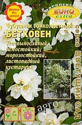 Чубушник "Бетховен" ТМ "АЭЛИТА" 0.005г