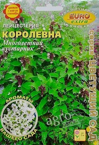 Лейцестерия "Королевна" ТМ "Аэлита" 0.004г