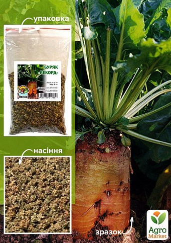 Свекла Кормовая "Рекорд" ТМ "Весна" 100г