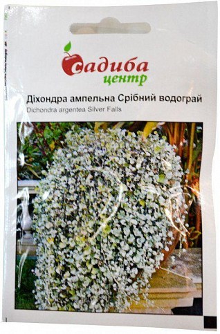 Дихондра ампельная "Серебряный фонтан" ТМ "Садиба центр" 3шт