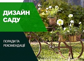 Велосипед, як декор саду - корисні статті про садівництво від Agro-Market