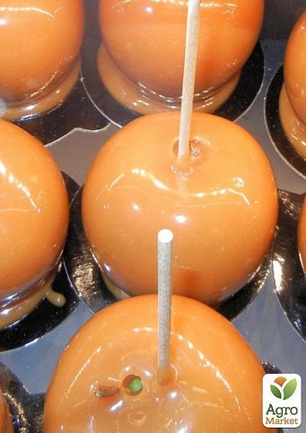 Яблуня "Рубінетте Россо" - фото 2