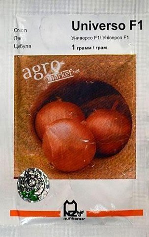 Лук "Универсо F1" ТМ "Nunhems" 200шт