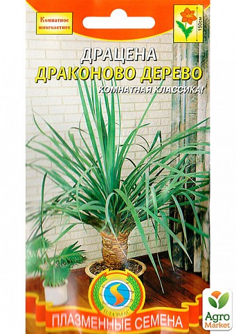 Драцена "Драконові дерево" ТМ "Плазмові насіння" 2шт NEW
