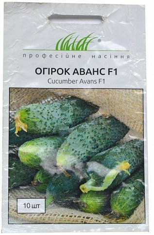 Огірок "Аванс F1" ТМ "Hem Zaden" 10шт