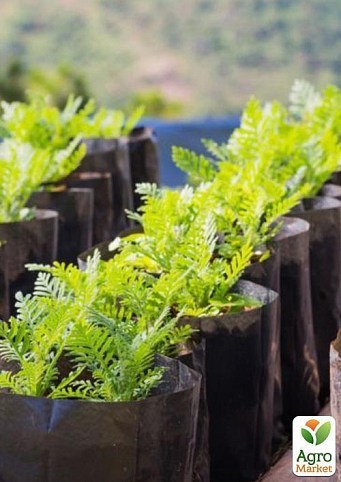 Пакет для рассады, саженцев 11*22см - фото 4