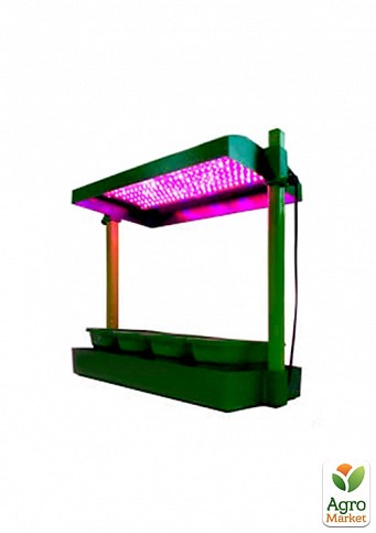 Установка "Домашній міні-город Фіто" зелений - фото 3