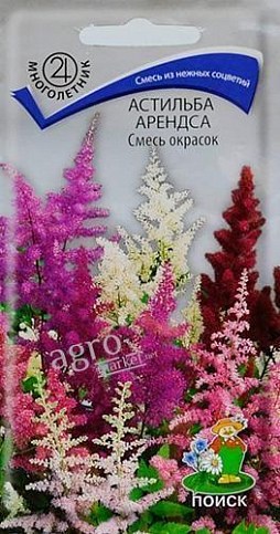 Астильба "Арендса" ТМ "Пошук" 40шт