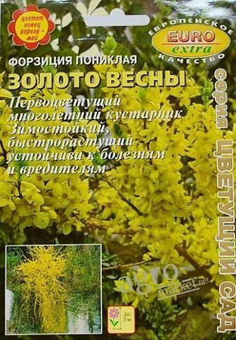Форзиция пониклая "Золото весны" ТМ "Аэлита" 0.1г