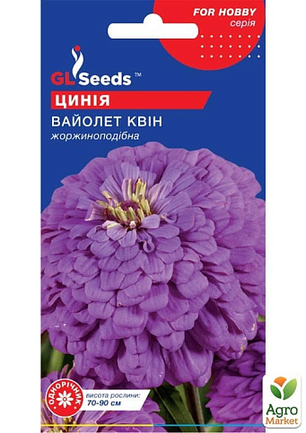 Цинія "Вайолет Квін" ТМ "GL SEEDS" 0.5г