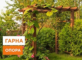 Навіси для витких рослин своїми руками | Agro-market