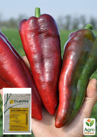 Перець "Редкан F1" ТМ "Clause" 250шт