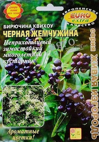 Бирючина квихоу "Черная жемчужина" ТМ "Аэлита" 0.2г