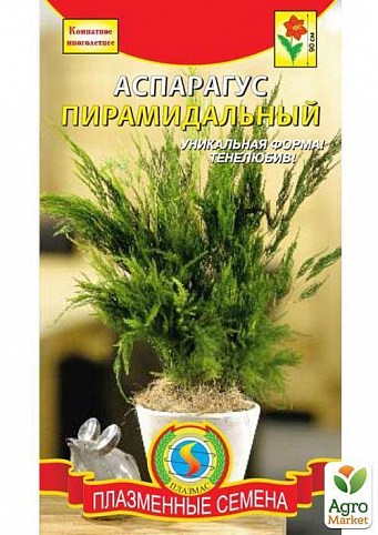 Аспарагус пирамидальный ТМ "Плазменные семена" 4шт