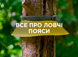 Все про ловчі пояси: види, застосування та переваги | Agro-market​
