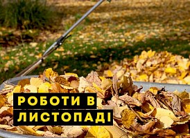 Садово-городні роботи на листопад - корисні статті про садівництво від Agro-Market