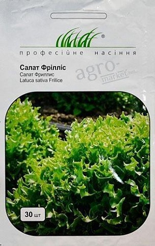 Салат "Фриллис" ТМ "Hem Zaden" 30шт