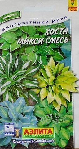 Хоста "Микси смесь" ТМ "АЭЛИТА" 7шт