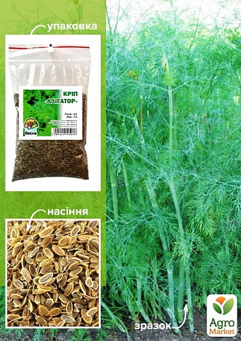 Укроп "Аллигатор" ТМ "Весна" 100г