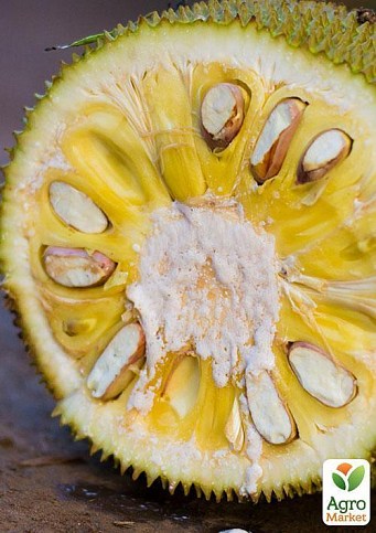 Джекфрут "Необыкновенный" ТМ "Vesna Exclusive" 10шт - фото 4