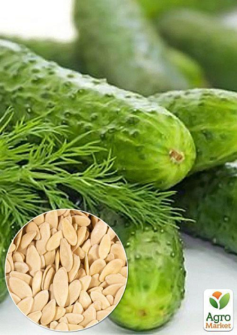 На развес Огурец "Беляевский" ТМ "Весна" цена за 2г