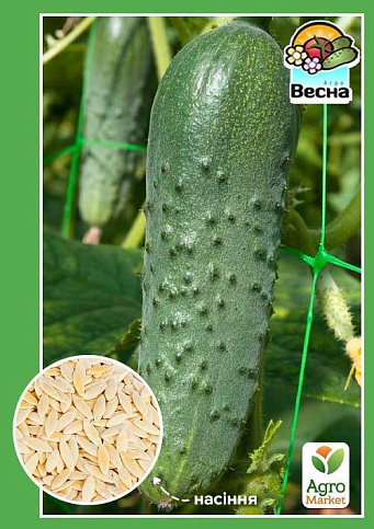 Огурец "Настоящий полковник F1" ТМ "Весна" 0.25г