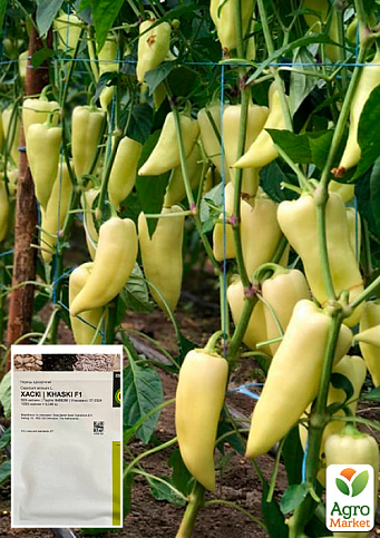 Перець "Хаскі F1" ТМ "Enza Zaden" 500шт