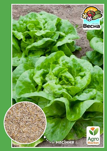 Салат кочанный "Годар" ТМ "Весна" 0.5г