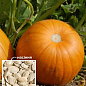 На развес Тыква "Сахарная осень" ТМ "Весна" цена за 10г