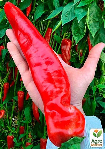 На развес Перец острый "Ацтек" ТМ "Весна" цена за 2г - фото 2